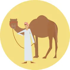 Camel