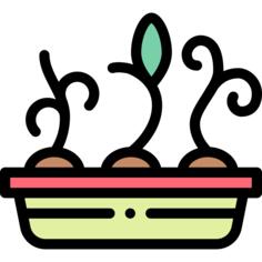Seedling tray