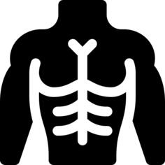 Body