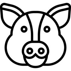 Pig