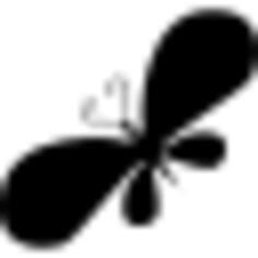 Butterfly with big frontal wings
