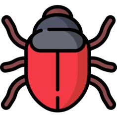 Bug