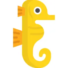 Seahorse
