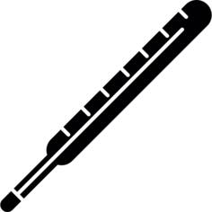Body thermometer