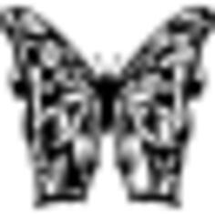 Butterfly of complex wings design