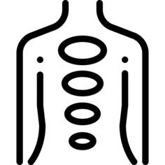 Body
