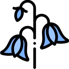 Bluebell