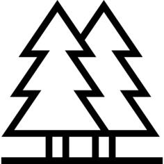 Pines