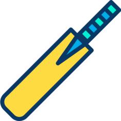 Cricket bat
