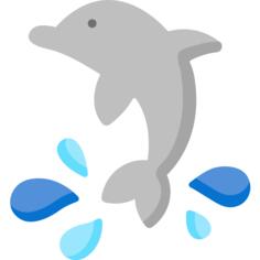 海豚