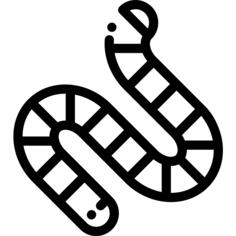 Worm