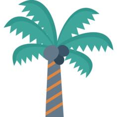 椰子树