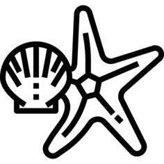 海星