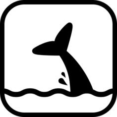 Whale zone