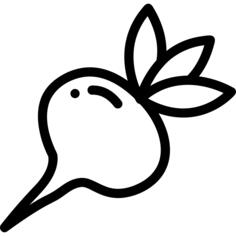 Radish