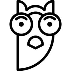 Big Eyes Owl