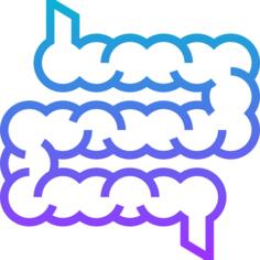肠