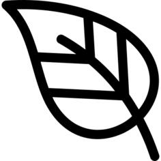 Leaf
