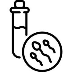 Sperm