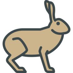 Hare