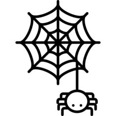 Spiderweb