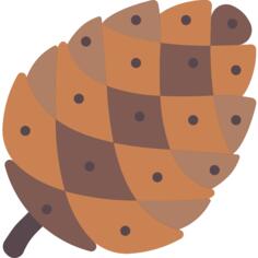 Pine cone