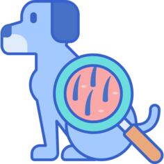 皮肤科