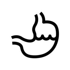 Stomach