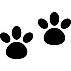 Paw