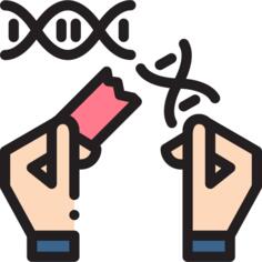 基因改造