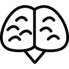 对称的身体部位