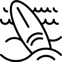 冲浪板
