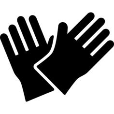 Pair of gloves