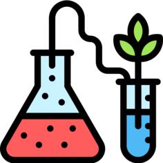 GMO