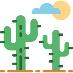 Cactus