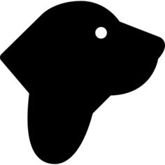 巴吉度猎犬