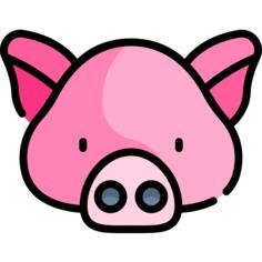 Pig