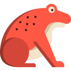 Toad