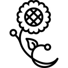 Flower on branch