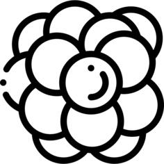Nucleus