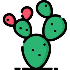 Prickly pear