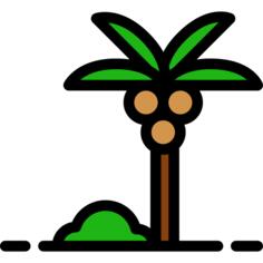 Palm tree