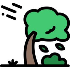 Windstorm