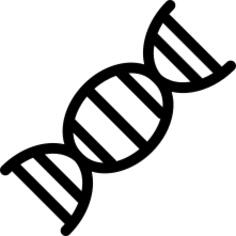 DNA代码
