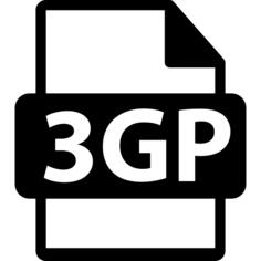 3GP文件格式