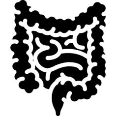 Intestines