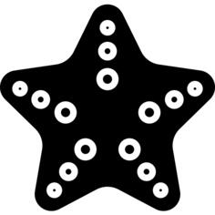 海星