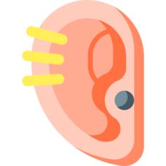 Ear