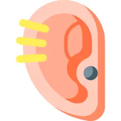 耳