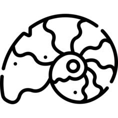 Fossil